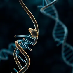 DNA structure with venom gene highlighted