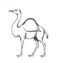 A medieval illustration showing an Allocamelus with its distinctive goose neck and camel body