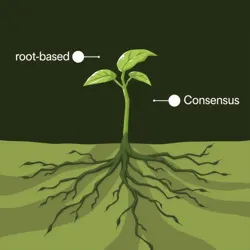 Depiction of root networks used in the consensus process