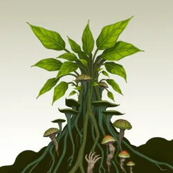 Illustration of the Symbiotic Alliance between Arborian plants and fungi